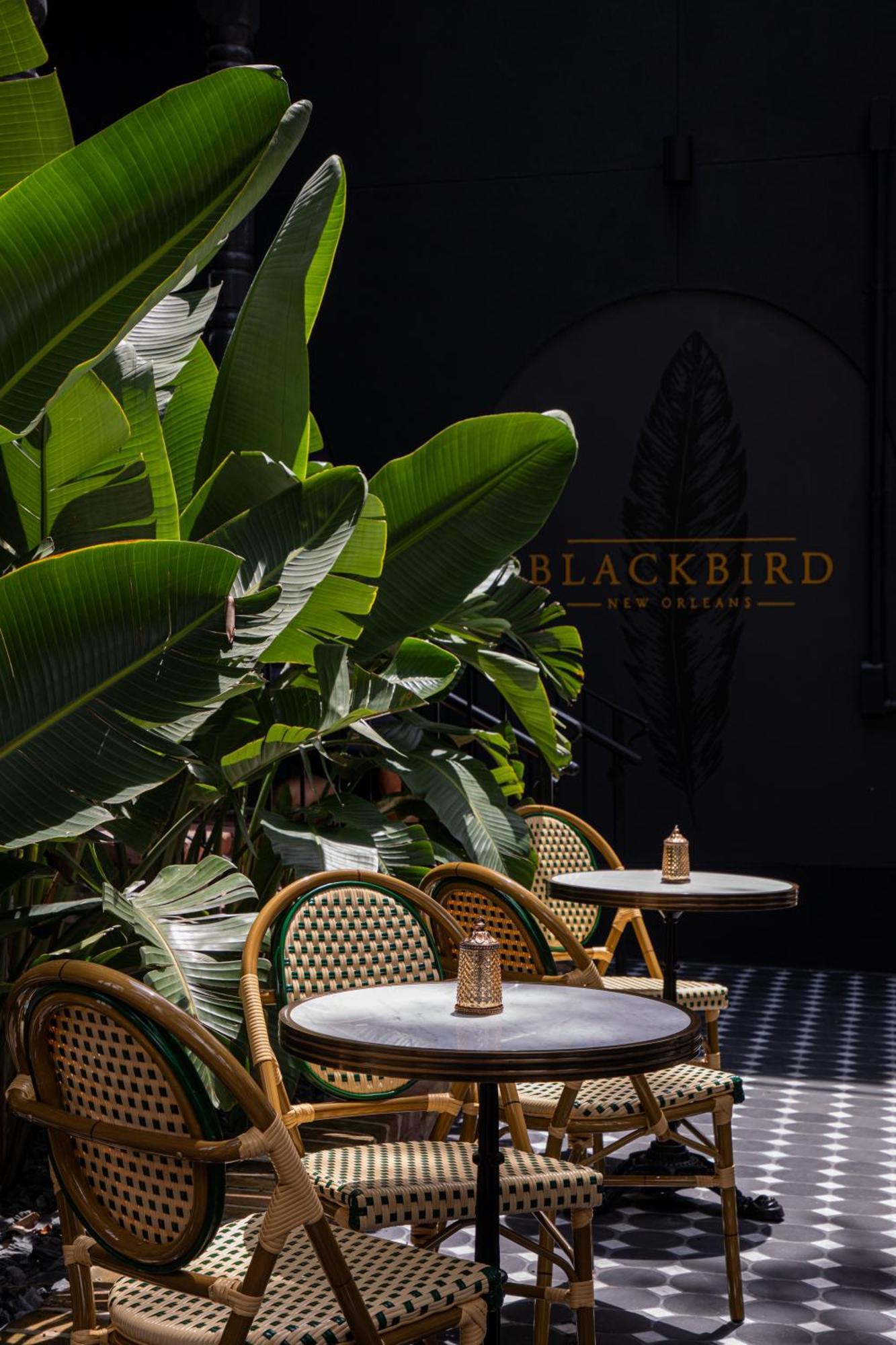 Blackbird Hotel New Orleans Eksteriør billede