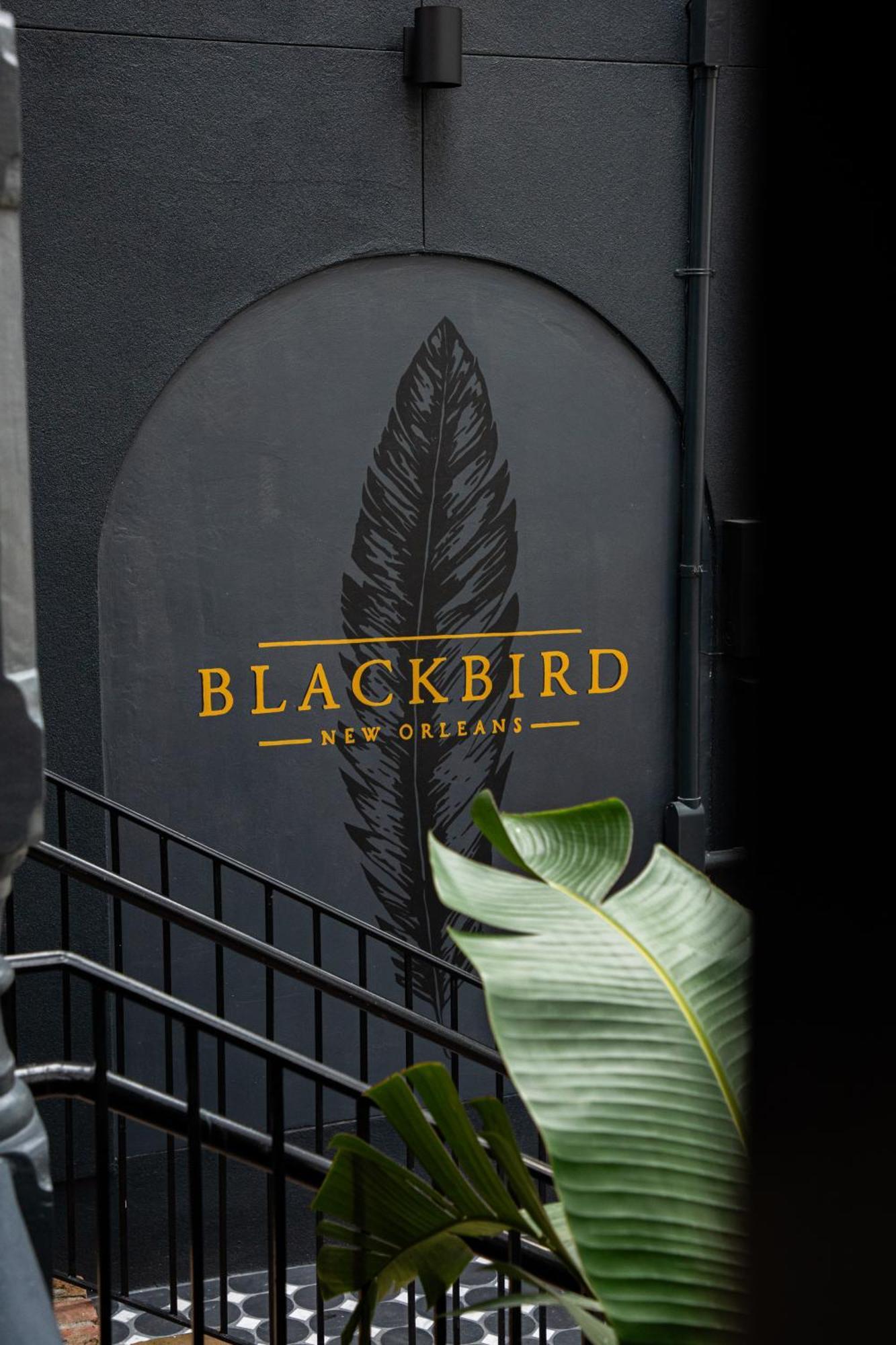 Blackbird Hotel New Orleans Eksteriør billede