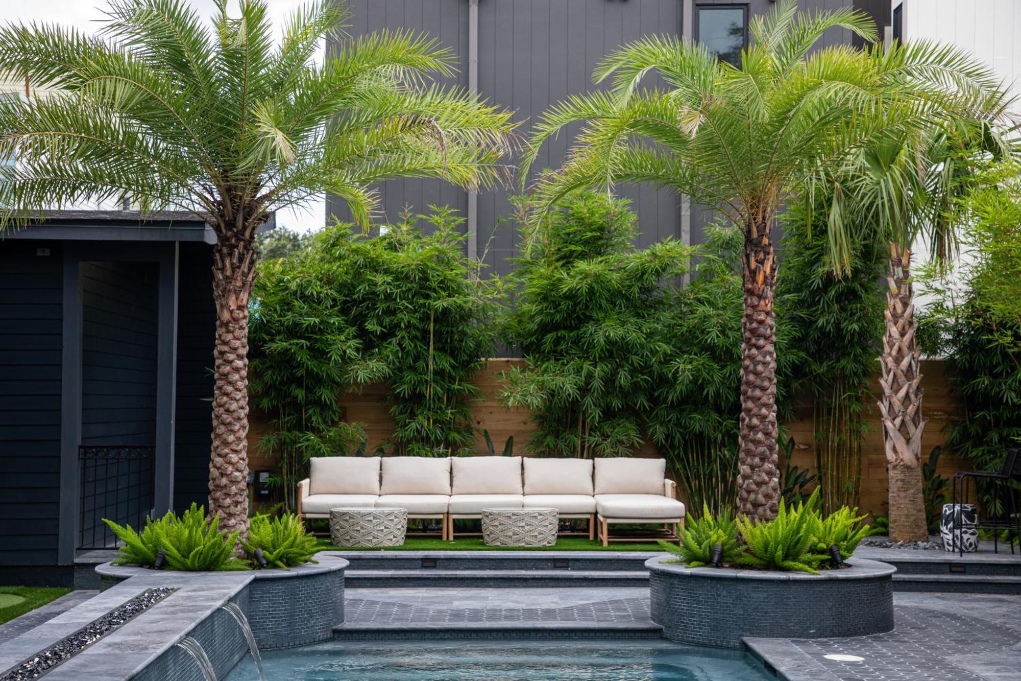Blackbird Hotel New Orleans Eksteriør billede
