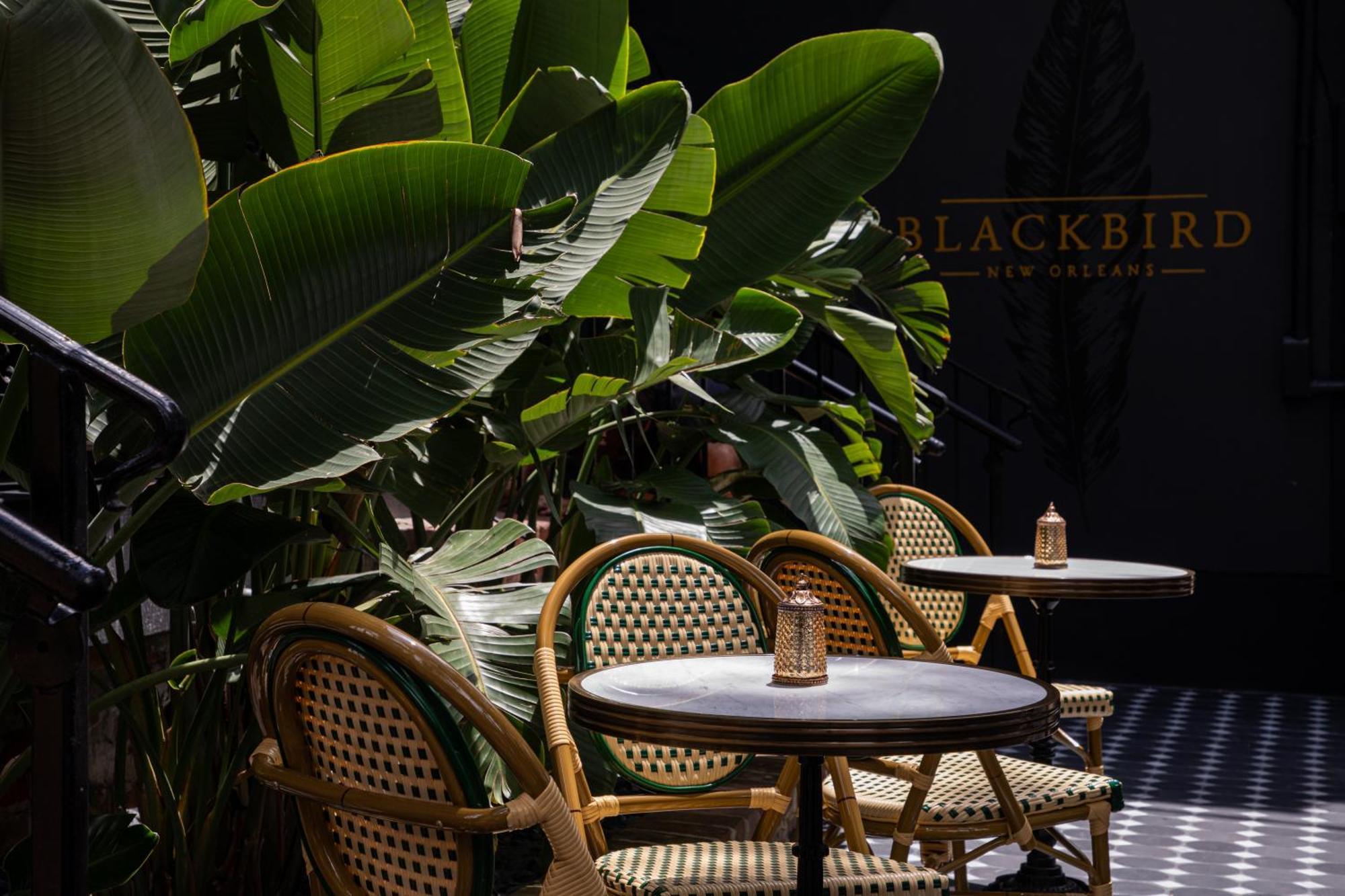 Blackbird Hotel New Orleans Eksteriør billede